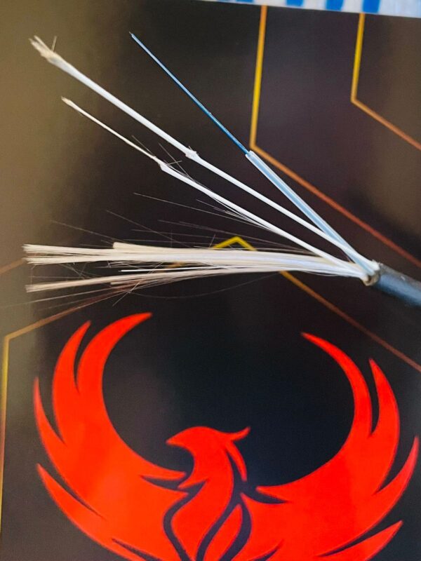 PSN (Peak Star Networks) Fiber Cable - Image 2