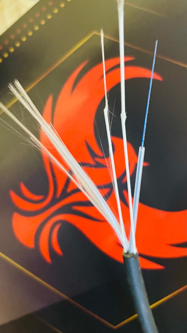 PSN (Peak Star Networks) Fiber Cable - Image 3